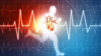 Athlete heart Getty Images 2226912538