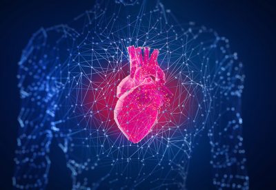 Cardiac illustration Getty Images 1254390300