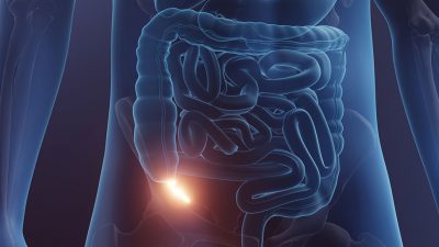 Appendix Getty Images 1385972187 1