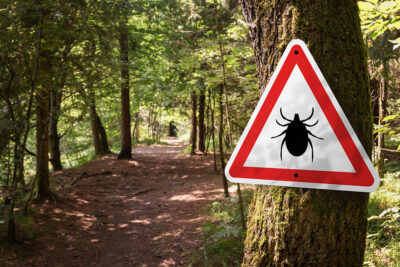 Tick warning sign in forest Getty Images 1367896383