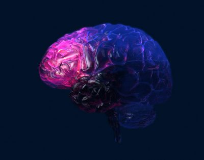 Frontal lobe Getty Images 175170550