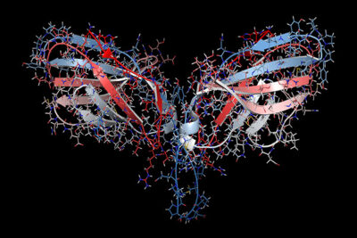 Immune Checkpoint Blockade