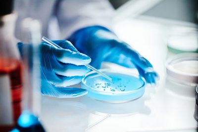 Researcher with petri dish Getty Images 2176475781