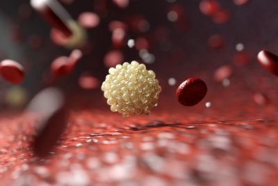 Getty Images 1926442896