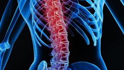 Human spine Getty Images 1273480925