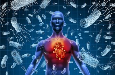 Heart and bacteria Getty Images 1537533206