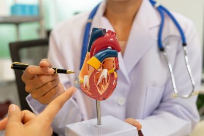 Mechanical valves Getty Images 2222698457