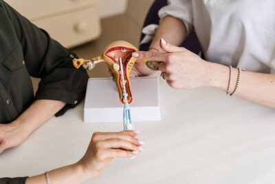Physician with IUD model Getty Images 1494350856