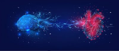 Brain and heart graphic Getty Images 2009831807