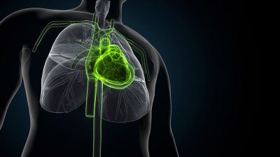 Heart graphic Getty Images 1368877733