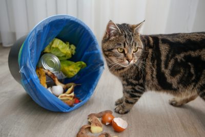 Getty Images 2197908333