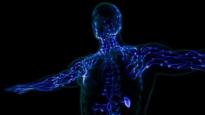 Lymph nodes Getty Images 1330859269