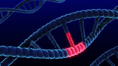Gene mutation Getty Images 2153932854