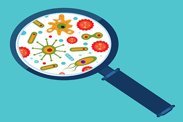 GERMS Getty Images 499886718