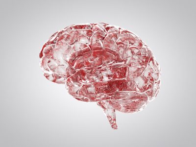 Vessels in brain Getty Images 1129831675