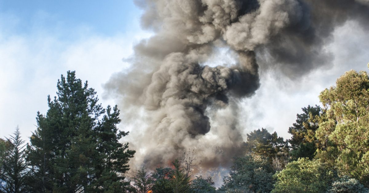 Wildfire Smoke Exposure Is a Risk Factor for Dementia | Clinician.com