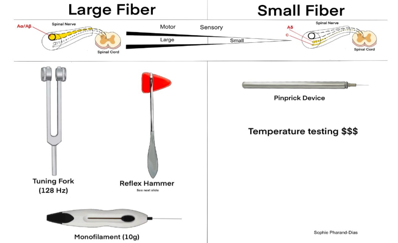 PCR 040125 Figure 1