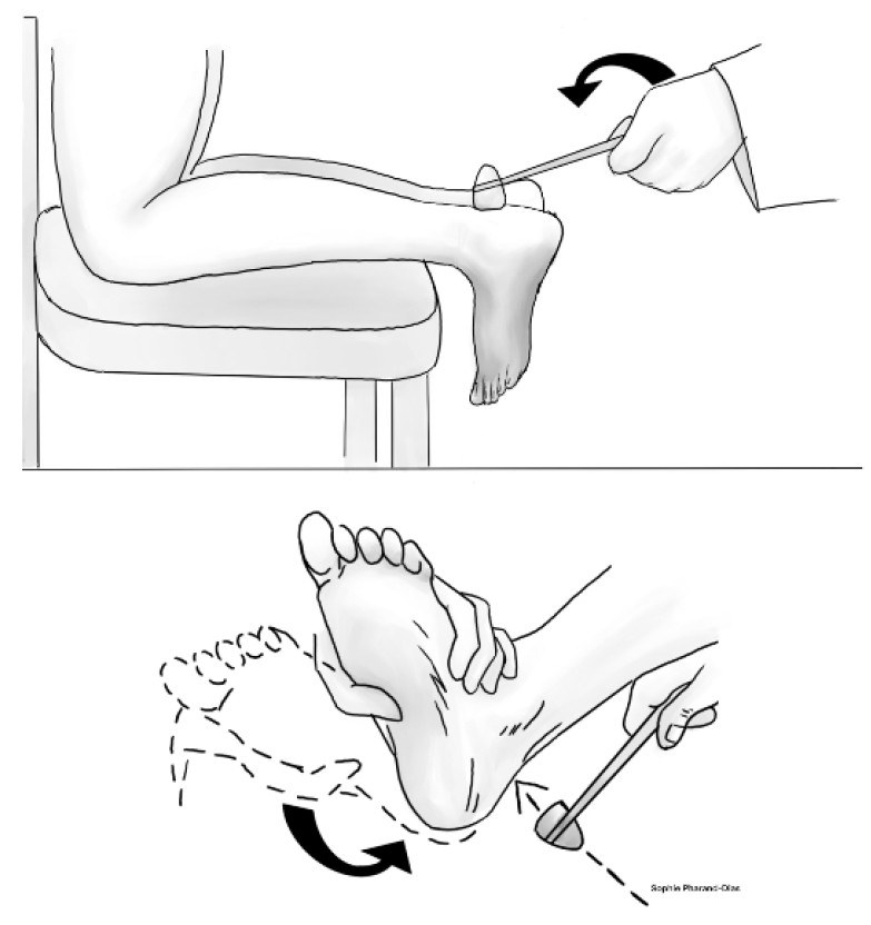 PCR 040125 Figure 5b