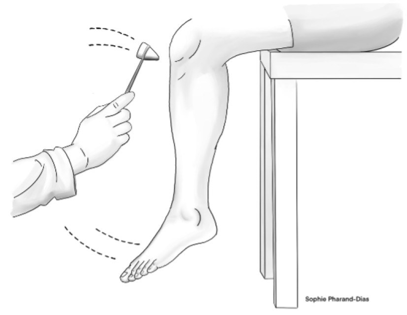 PCR 040125 Figure 5a