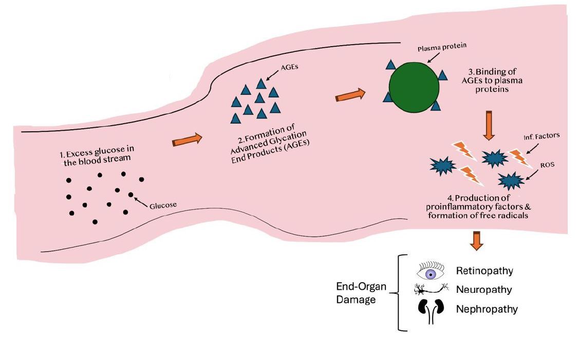 PCR 080124 Figure 2