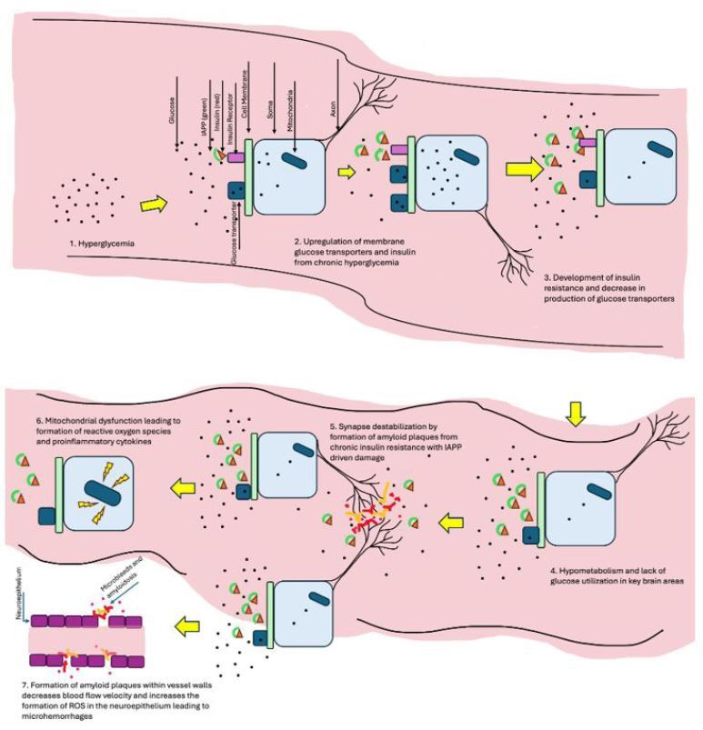 PCR 080124 Figure 3