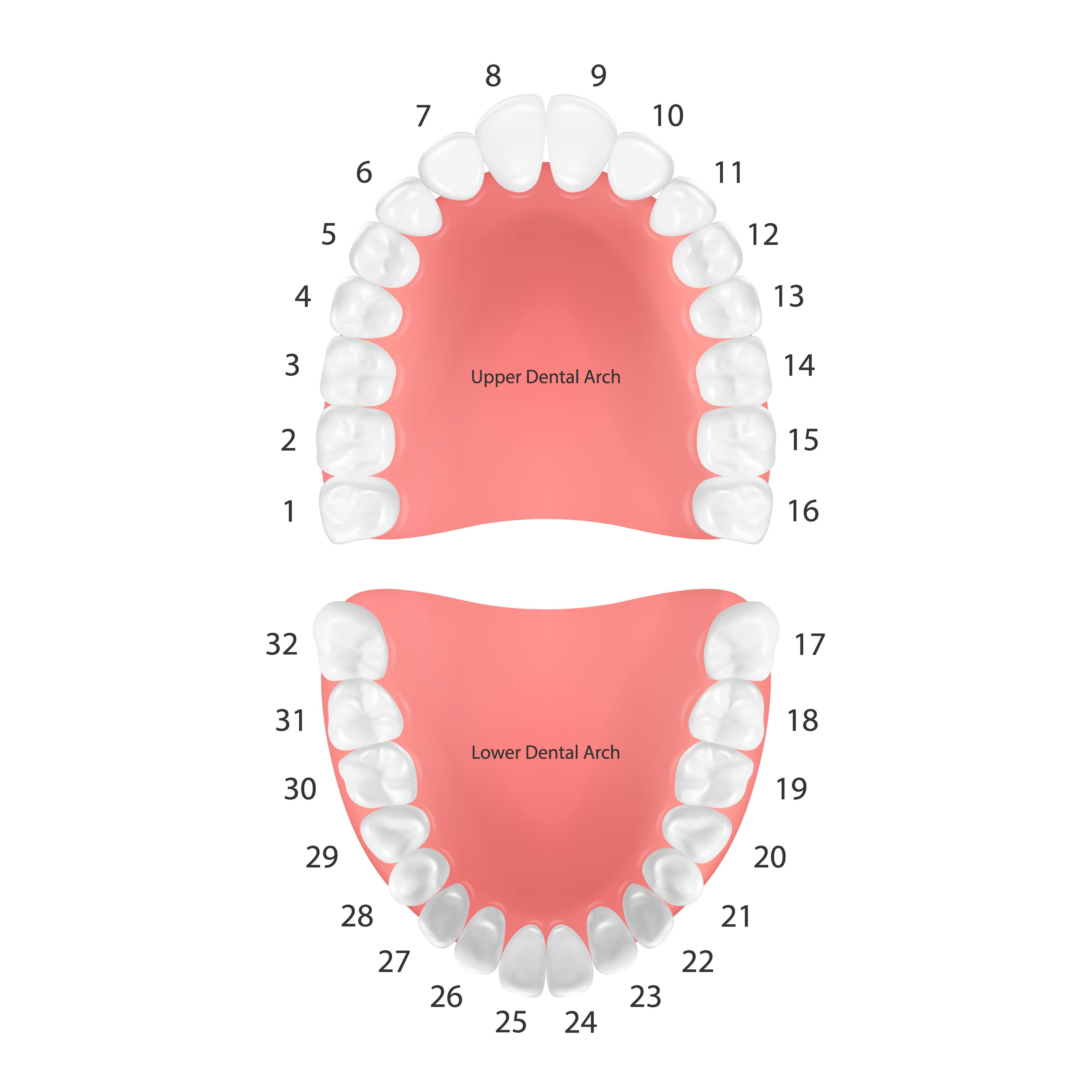 PCR 100125 Figure 1